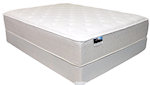 Smart Value Marion Plush Smart Value Marion Plush