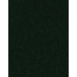 (image for) Bottle Green Pool Table Felt Invitational