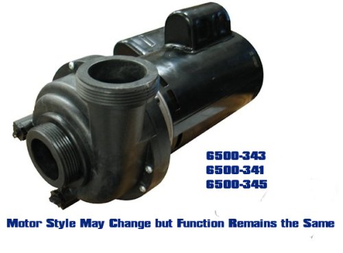 (image for) Jacuzzi J-310 Pump