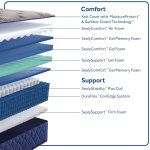(image for) Sealy Midnight Bliss Plush Pillowtop