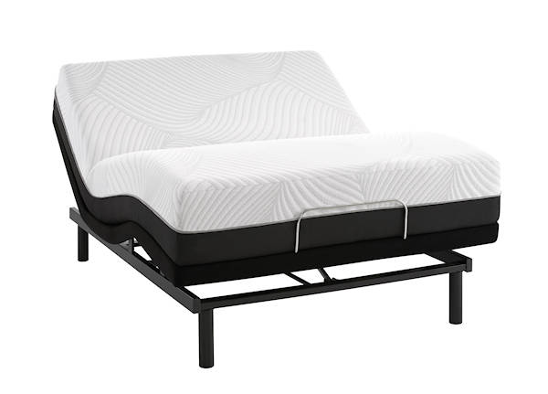 Sealy Conform Fondness Gel Memory Foam Power Bed Sealy Conform Fondness Gel Memory Foam Power Bed