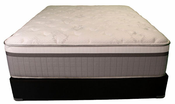 Smart Value Ovation Plush EuroTop Smart Value Ovation Plush EuroTop